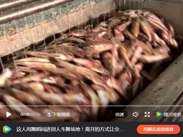 毛輥清洗去鱗機